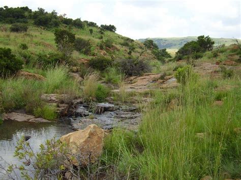 Day Visitors Can Visit The Suikerbosrand Nature Reserve Again