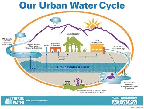 Our Urban Water Cycle Water Cycle Water Cycle Activities Water
