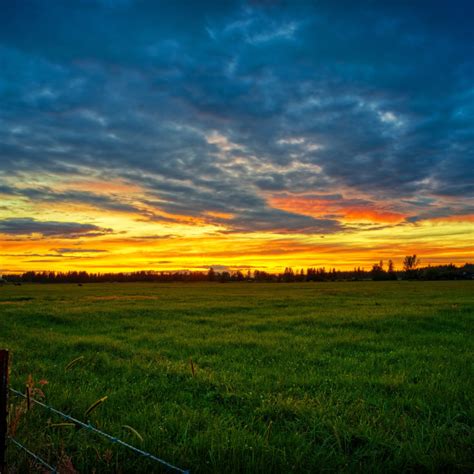 Sunset Over Grass Field License Download Or Print For £1000