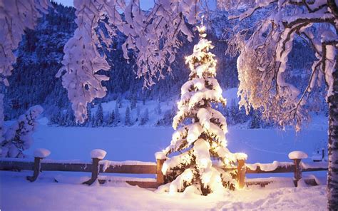 Free Download Christmas Scene Background 49 Images 2560x1600 For Your