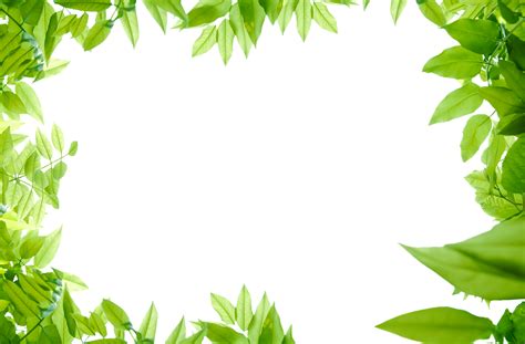 Green Bg Png Picture Png Mart