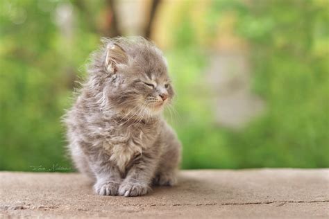 Windy Day By Zoran Milutinovic Photo 69978653 500px