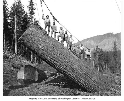 Mineral West Fork Logging Company 1935 Mineral Washington Logging