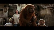 Labyrinth Movie Review 1986 by Epic Fail