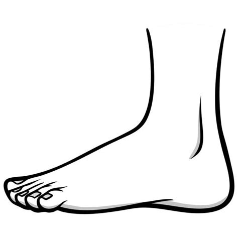 Cartoon Of The Ankle Support Illustrations Royalty Free Vector