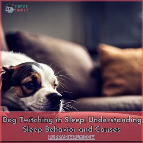 Dog Twitching In Sleep Understanding Sleep Behavior And Causes