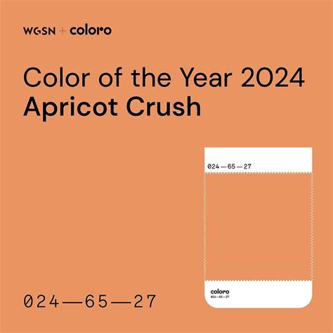 Coloro X Wgsn联合发布2024 年度色彩：apricot Crush 千通彩色彩管理官网