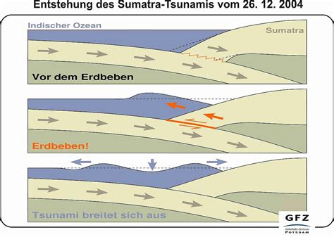 Start studying entstehung von tsunamis. Abbildungen