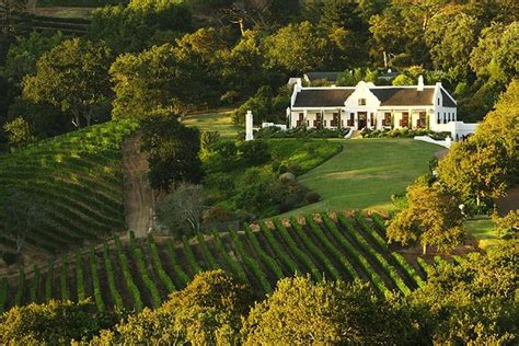 Constantia Private Wineries Tour From Cape Town 2022 Viator