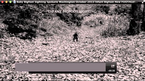 Baby Bigfoot Sighting Spokane Washington Breakdown Youtube