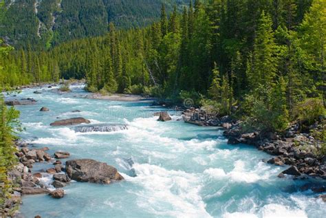 Kicking Horse River Stock Photo Image Of Flowing Fast 20317168