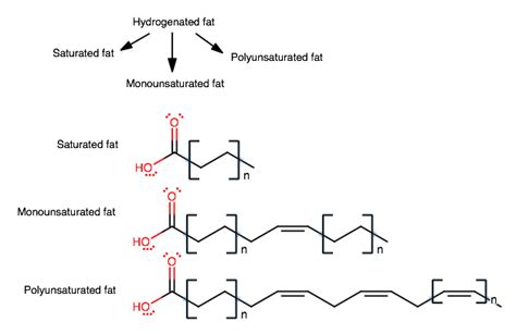 Hydrogenated Fats List