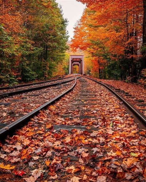 Train Tracks In Autumn Autumn Scenery Autumn Scenes Fall Pictures