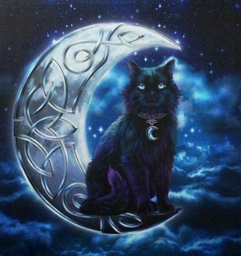 Pin By Beth Higgins On Cats And The Moonstars Black Cat Art Cat Art