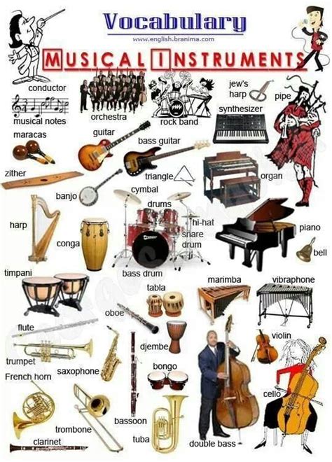 Musical Instruments English Vocabulary Vocabulary Learn English