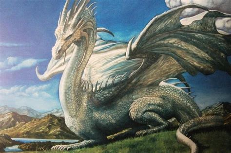 Western Dragons Western Dragons Pinterest