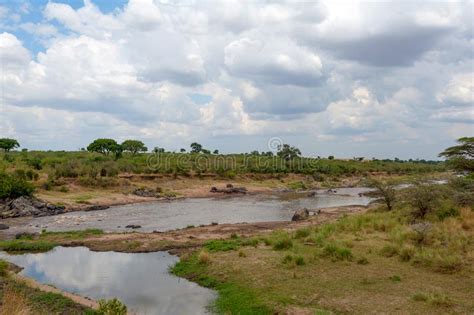 Savannah Landscape With River In The National Park Of Kenya Stock Image