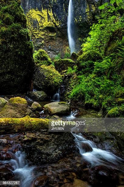 Elowah Falls Photos And Premium High Res Pictures Getty Images