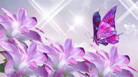 Butterflies And Flowers Wallpapers Wallpaper Cave