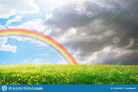 A Spring Field Landscape With Flowers And Rainbow Stock Image Image