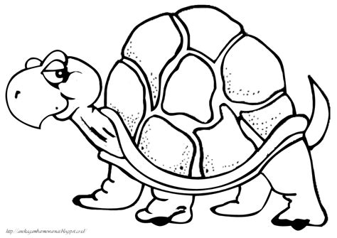 Gambar doraemon hitam putih untuk mewarnai. Gambar Mewarnai Kura-kura Untuk Anak PAUD dan TK