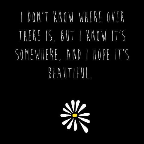 Looking For Alaska Quotes Quotesgram