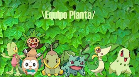 top mis 5 pokémon favoritos de kanto pokémon en español amino