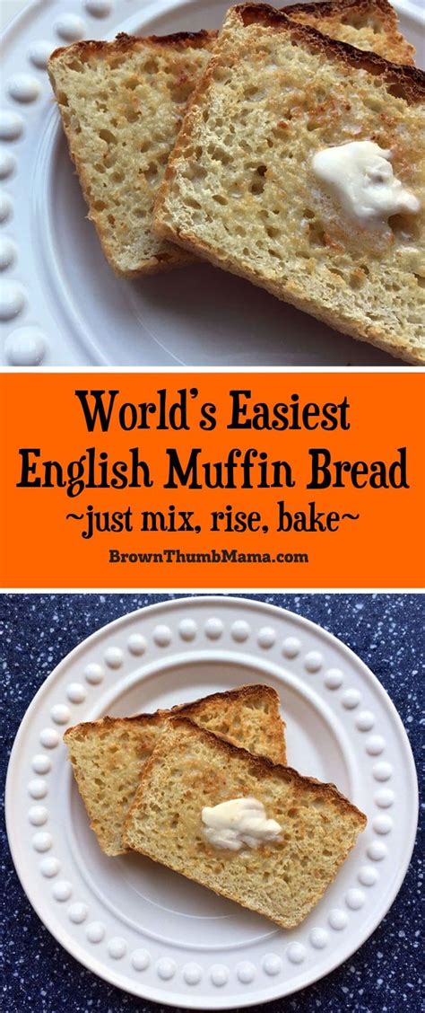 no knead english muffin bread recipe in 2023 homemade english muffins english muffin bread