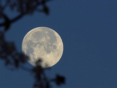 Free Picture Moon Night Sky Full Moon