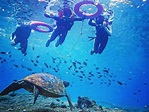 來去小琉球潛水找海龜！浮潛、深潛、自潛潛點大解密
