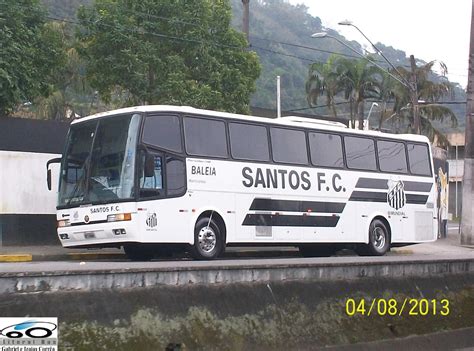 Santos performance & form graph is sofascore football livescore unique algorithm that we are generating from team's last 10 matches, statistics, detailed analysis and our own knowledge. Litoralbus 12: Santos FC - Baleia