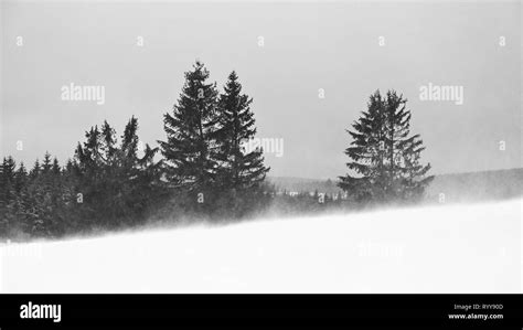 Beautiful Winter Landscape Highland Czech Republic Stock Photo Alamy