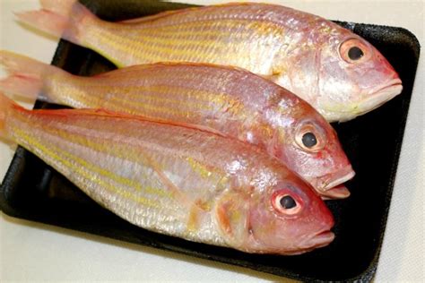 Pakan berikutnya yang membuat ikan cepat besar yang dianjurkan adalah menggunakan sayur kangkung. Resepi Ikan Mata Besar Masak Sambal ~ Resep Masakan Khas