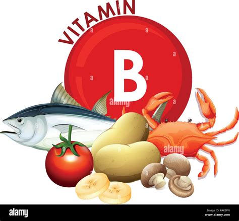 Un Conjunto De Vitamina B Alimentos Ilustraci N Imagen Vector De Stock
