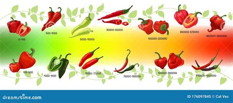 Scoville Scale Hot Pepper Spiciness Heat Unit Cartoon Vector CartoonDealer