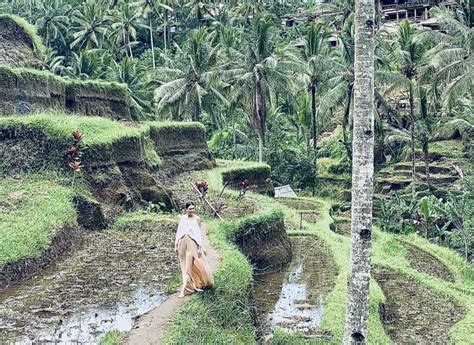Ubud Private Sightseeing Transfer To Locations Across Bali Getyourguide