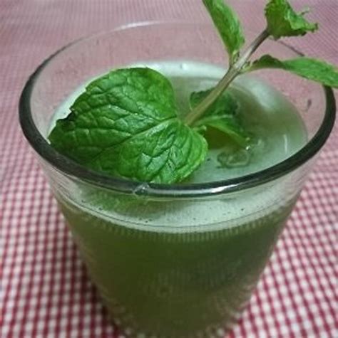 Mint Juice Recipes Quick And Easy 3 Drinks With Mint