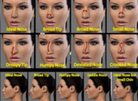 How to contour a bump on nose! nose contouring | Nose contouring, Contour makeup, Face contouring