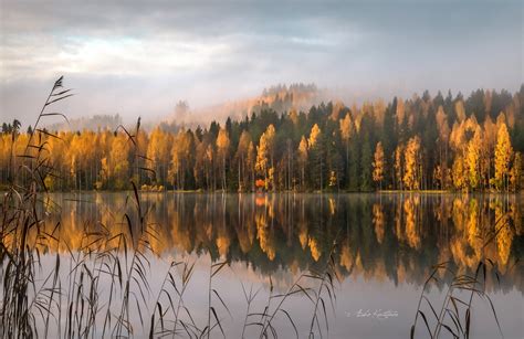 🇫🇮 Syksy Suomi Autumn Finland By Asko Kuittinen 🍂 Finland