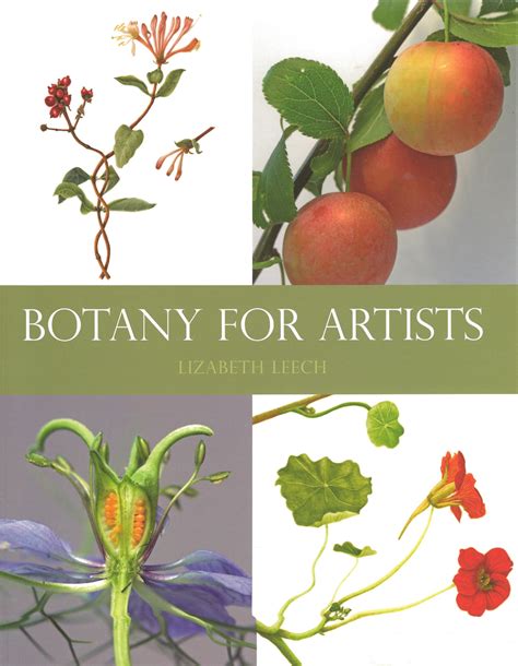Botanical Art Holiday Sketching A Book A Week 1 Botany For
