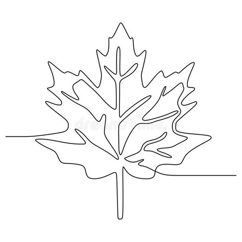 Continuous Line Drawing Of Maple Leaves One Hand Drawn Lineart Design