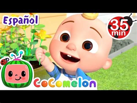 El abono aprende sobre las plantas CoComelon en Español