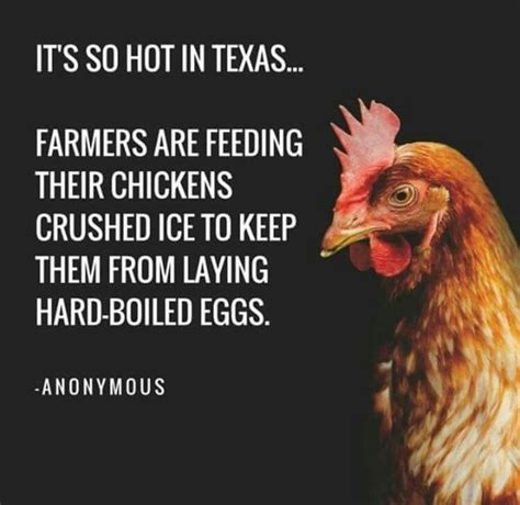 Find the newest texas chili bowl meme. It's so hot in Texas... | Texas humor, Texas weather, Hot weather humor
