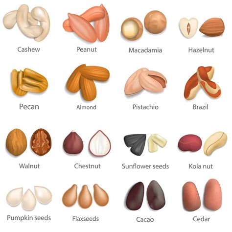35 Different Types Of Nuts And Seeds Nuts And Seeds Health Benefits