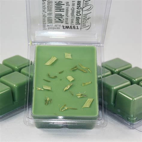 Fresh Cut Grass Wax Melt Candle Tarts Soy Aromatherapy Etsy