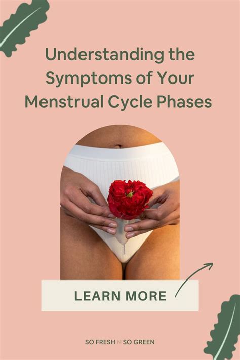 Cycle Syncing Guide A Cheatsheet To Understanding Supporting Your Monthly Menstrual Cycle