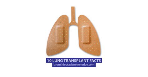 10 Lung Transplant Facts Page 2 Of 5 Bronchiectasis News Today