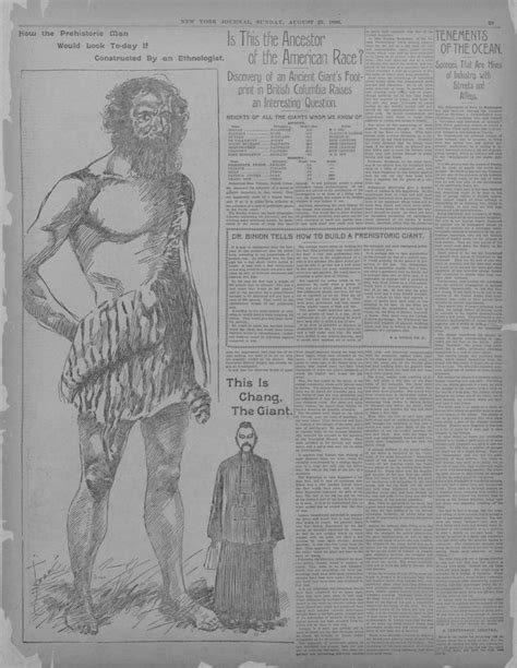 Image 23 Of New York Journal New York N Y August 23 1896