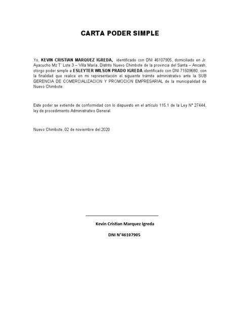 Carta Poder Simple Pdf