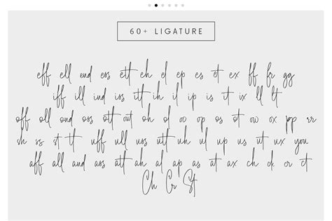 Tosca Beauty Handwritten Signature Font Free Download | Free Script Fonts